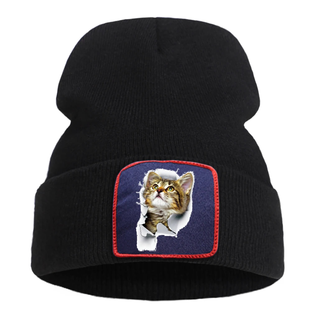 Hats Funny Kitten Cat Print Man Winter Knitted Hat Hip Hop Warm Fashion Hats Women Autumn Outdoor Solid Color Caps For Boys