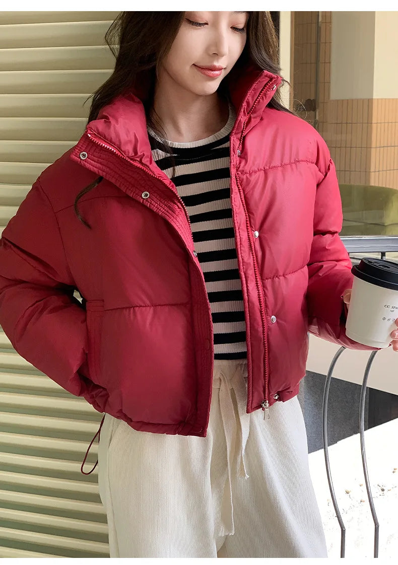 Winter Women Clothes Cropped Jackets Parkas Warm Stand Collar Cold Coat Zipper Puffer Jacket Korean Fashion Cotton-padded Jacket