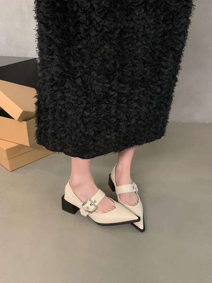 Retro Pointed Mary Jane Small Leather Shoes for Women 2024 Autumn and Winter New Korean Version of Chunky Heel Loafers