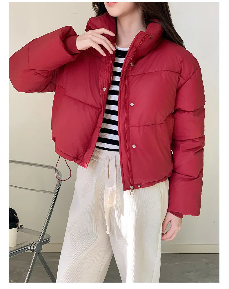 Winter Women Clothes Cropped Jackets Parkas Warm Stand Collar Cold Coat Zipper Puffer Jacket Korean Fashion Cotton-padded Jacket