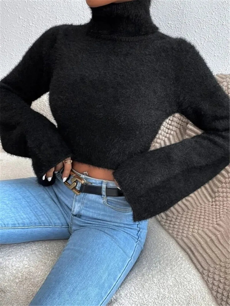 Autumn and winter Europe and the United States cross-border new Amazon turtleneck short belly button fleece sweater - reetell