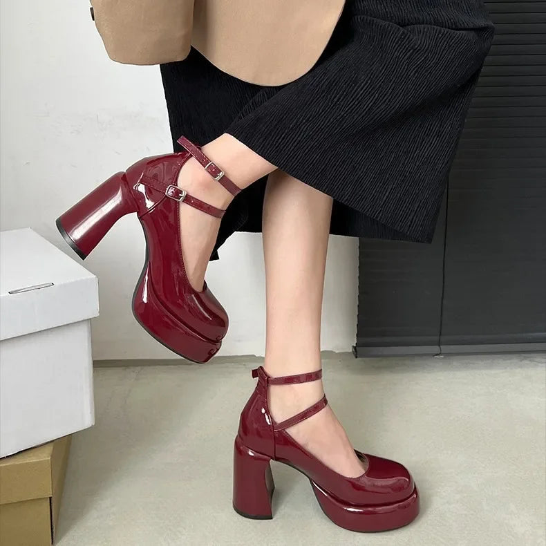 Designer Platform Women Mary Jane Shoes Fashion Elegant Double Buckle Thick Heel Shoes Ladies Dress Pumps High Heel Party Shoes